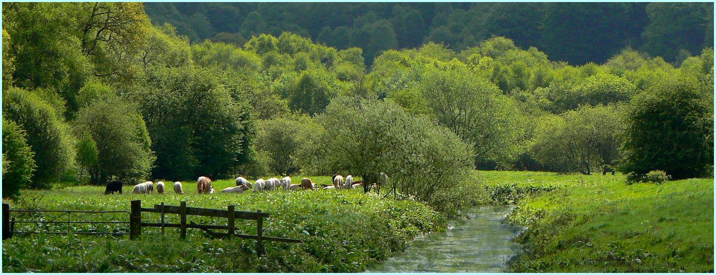 Churnet Valley